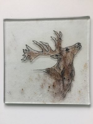 Hand drawn calling Stag fused onto clear glass